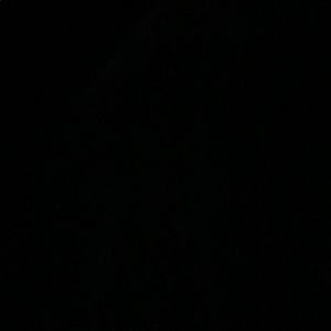 Meet your Posher, Nigel